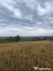 TEREN PAULESTI//10.000 MP
