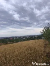 TEREN PAULESTI//10.000 MP
