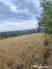 TEREN PAULESTI//10.000 MP