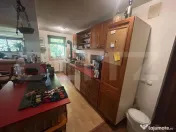 Casa , Pucioasa , 199 mp utili , 10200 mp Teren 