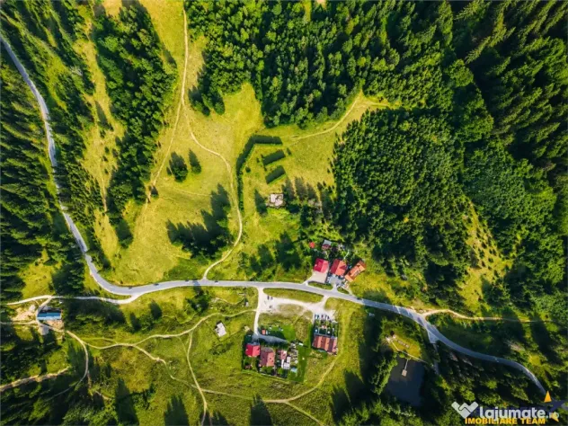 Film! Teren cu destinatie turistica si agrement, Poiana Bras - Brasov (Brasov)