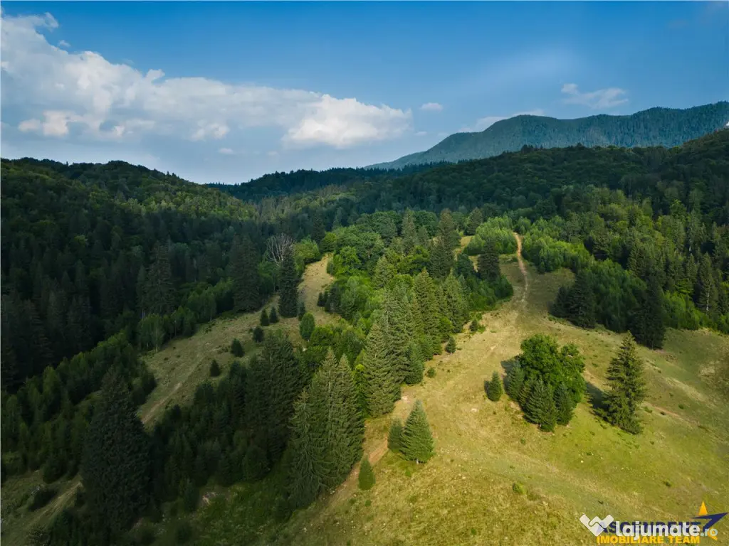 Film! Teren cu destinatie turistica si agrement, Poiana Bras - Brasov (Brasov)