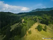 Film! Teren cu destinatie turistica si agrement, Poiana Bras