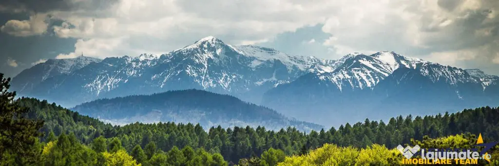 Film! Teren cu destinatie turistica si agrement, Poiana Bras - Brasov (Brasov)