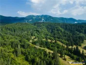 Film! Teren cu destinatie turistica si agrement, Poiana Bras
