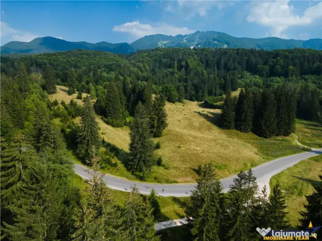 Film! Teren cu destinatie turistica si agrement, Poiana Bras - Brasov (Brasov)