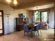 Casa individuală modernă, finisată 310 mp utili, 900 mp t
