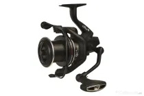 Mulineta Carp Expert Score Method 5500