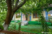 Casă interbelică + 3.060 mp intravilan, Trifești, 7,9 km de Roman