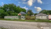 Casă interbelică + 3.060 mp intravilan, Trifești, 7,9 km de Roman