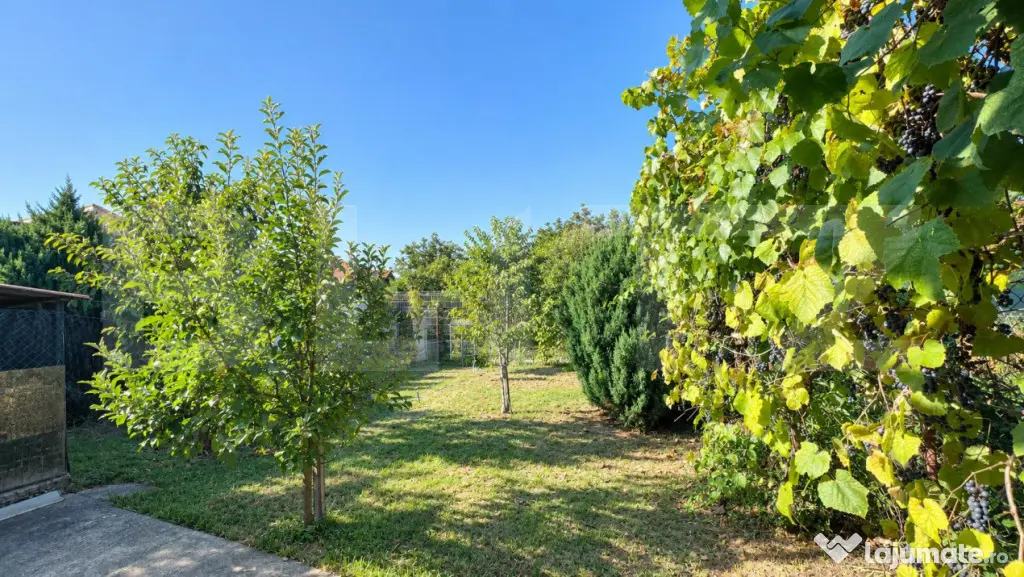Oportunitate- Casă în Orăștie pe strada M. Kogălniceanu - Orastie (Hunedoara)