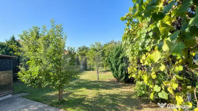 Oportunitate- Casă în Orăștie pe strada M. Kogălniceanu - Orastie (Hunedoara)