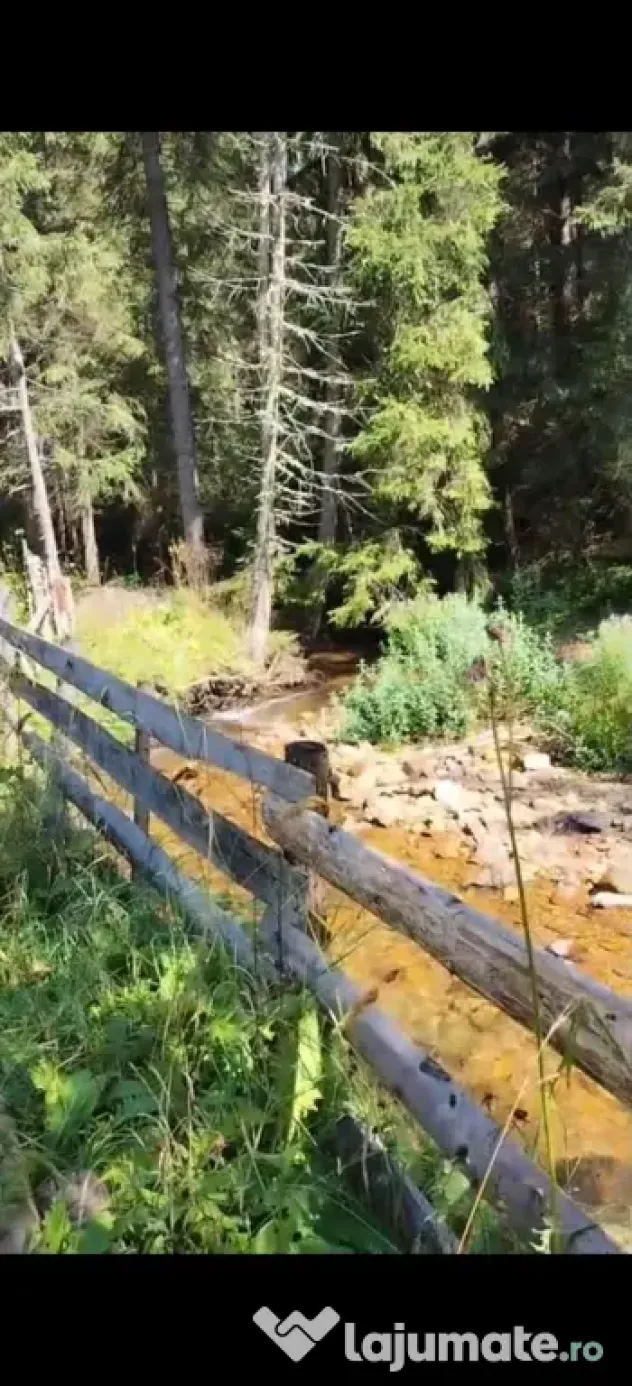 🌲 Teren de vânzare într-o zonă feerică – Poiana Horea 🌲