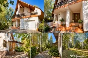 Proprietate deosebită | 315 mp utili | 17 ari teren | amena 