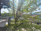 Descoperă un studio exclusivist la vila pe Calea Turnișorulu