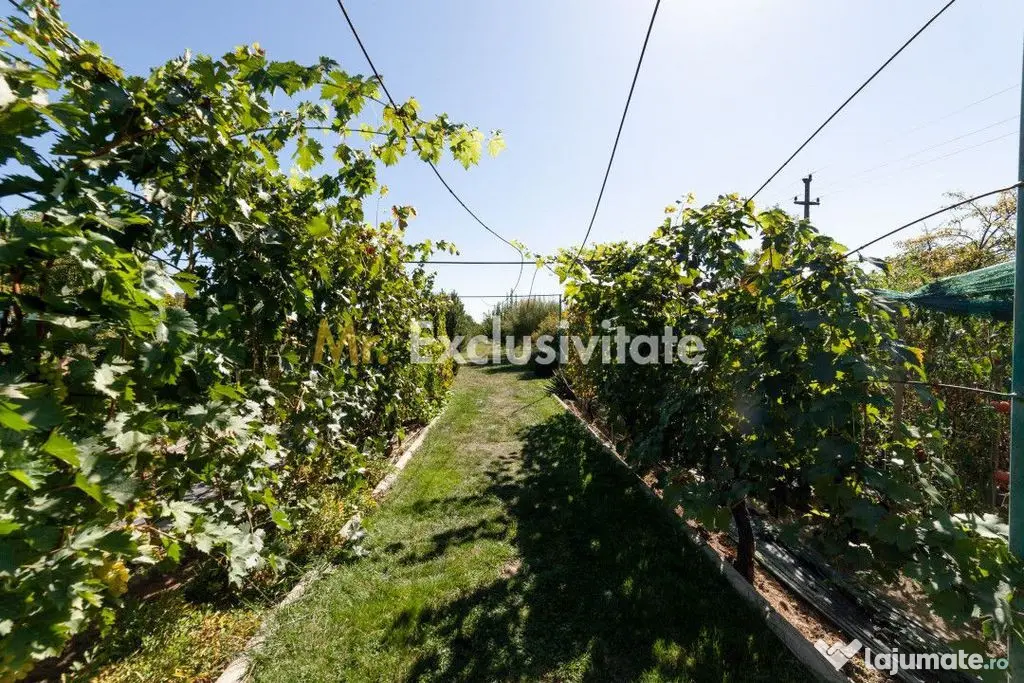 Casa visurilor cu 4000 mp livada roditoare si gradina Darmanesti-Arges - Darmanesti (Arges)