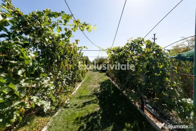 Casa visurilor cu 4000 mp livada roditoare si gradina Darmanesti-Arges - Darmanesti (Arges)