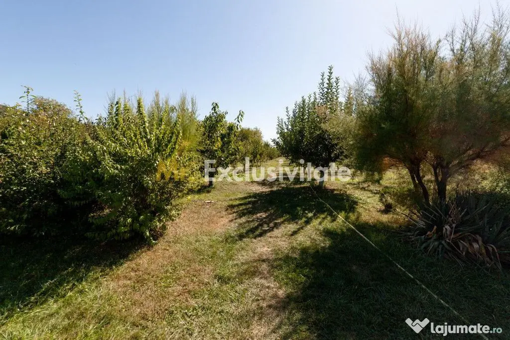 Casa visurilor cu 4000 mp livada roditoare si gradina Darmanesti-Arges - Darmanesti (Arges)