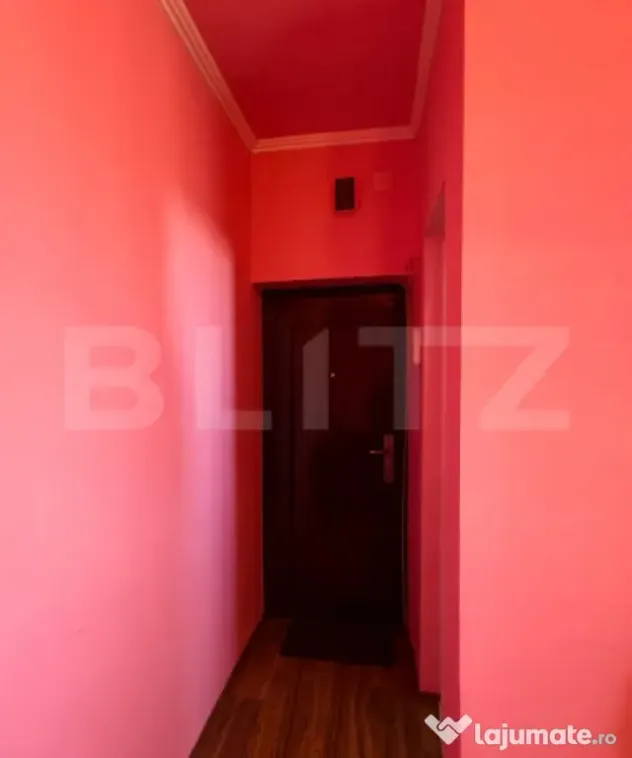 Garsonieră 11 mp / Gruia - Cluj-Napoca (Cluj)