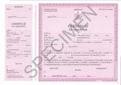 Curs Infirmiera cu certificare 