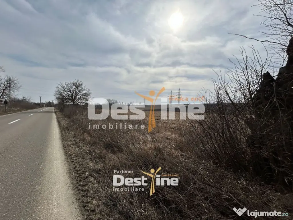 Teren de vanzare Caciulesti 11.000Euro 1300mp - Caciulesti (Neamt)