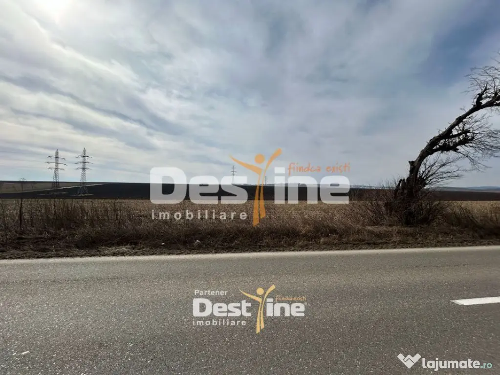 Teren de vanzare Caciulesti 11.000Euro 1300mp - Caciulesti (Neamt)