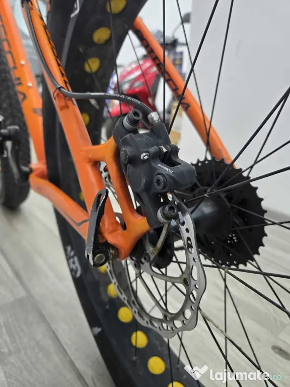 Bottecchia Sennales Fat Bike