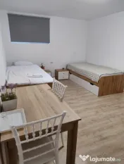 Vilă D+P+M | 280 mp Utili | Cluj | Zona Fanete 