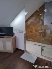 Vilă D+P+M | 280 mp Utili | Cluj | Zona Fanete 