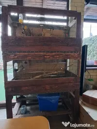 Vand voliera, cotet animale mici doua compartimente 