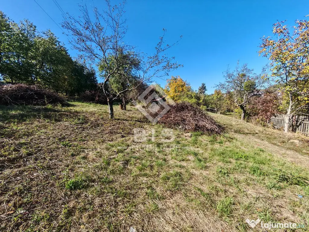 Teren Intravilan 600 mp- Aleea Fragilor - Bistrita (Bistrita-Nasaud)