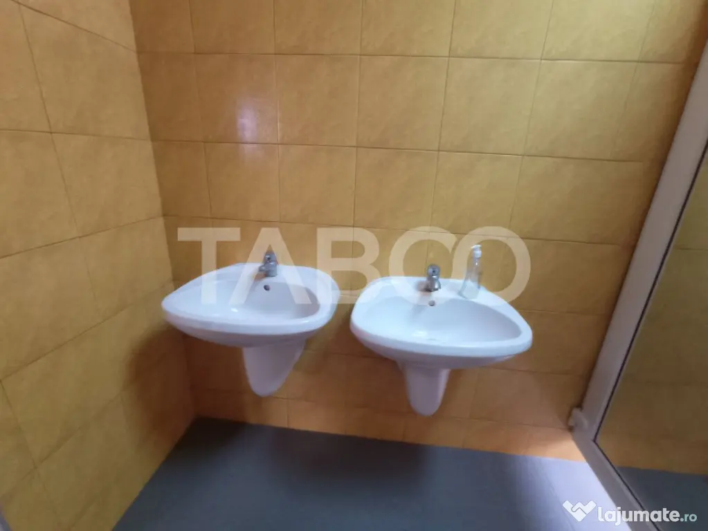Spatiu Industrial 1000 mp utili cu birouri si parcari Centra - Sibiu (Sibiu)