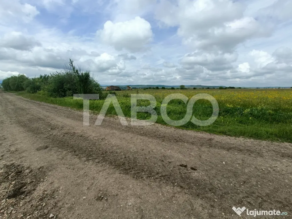 Teren de vanzare in zona Parcului Industrial Sura Mica cu ac - Sura Mica (Sibiu)