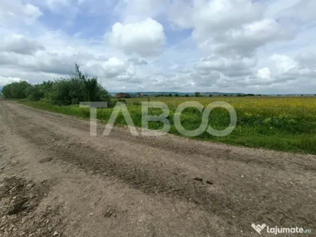 Teren de vanzare in zona Parcului Industrial Sura Mica cu ac - Sura Mica (Sibiu)