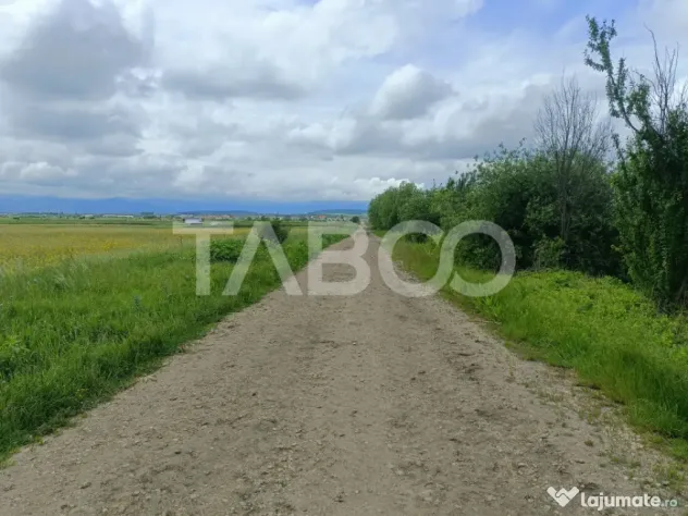 Teren de vanzare in zona Parcului Industrial Sura Mica cu ac - Sura Mica (Sibiu)