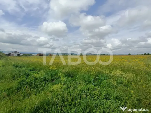 Teren de vanzare in zona Parcului Industrial Sura Mica cu ac - Sura Mica (Sibiu)