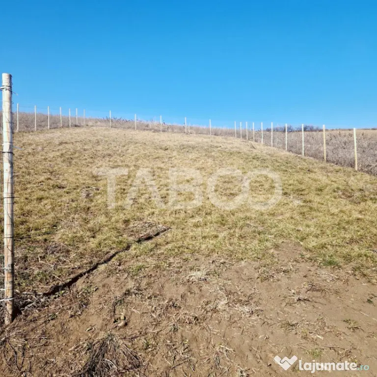 Teren intravilan 508 mp cu utilitati de vanzare in Sura Mar - Sura Mare (Sibiu)