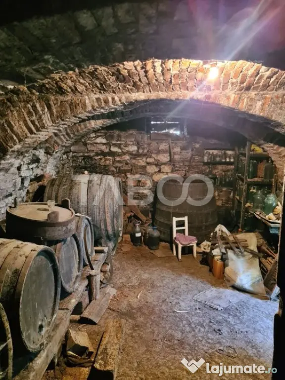 Casa de vanzare in comuna Cut Judetul Alba - Cut (Alba)