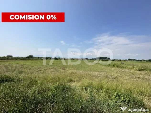 Teren intravilan 6000 mp deschidere 24,5 m utilitati in zona - Sibiu (Sibiu)