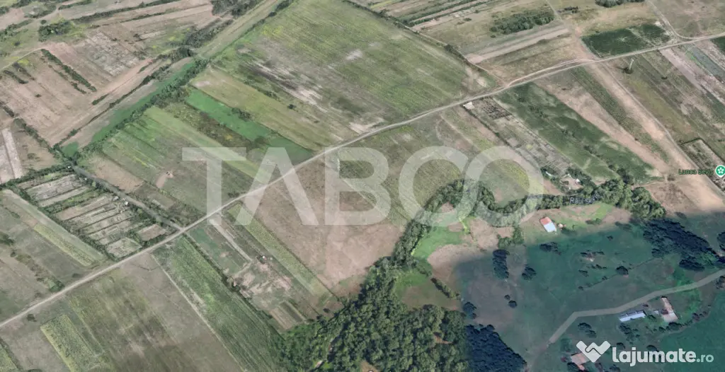 Teren de vanzare 17.000 mp in vecinatatea padurii Dumbrava - Sibiu (Sibiu)