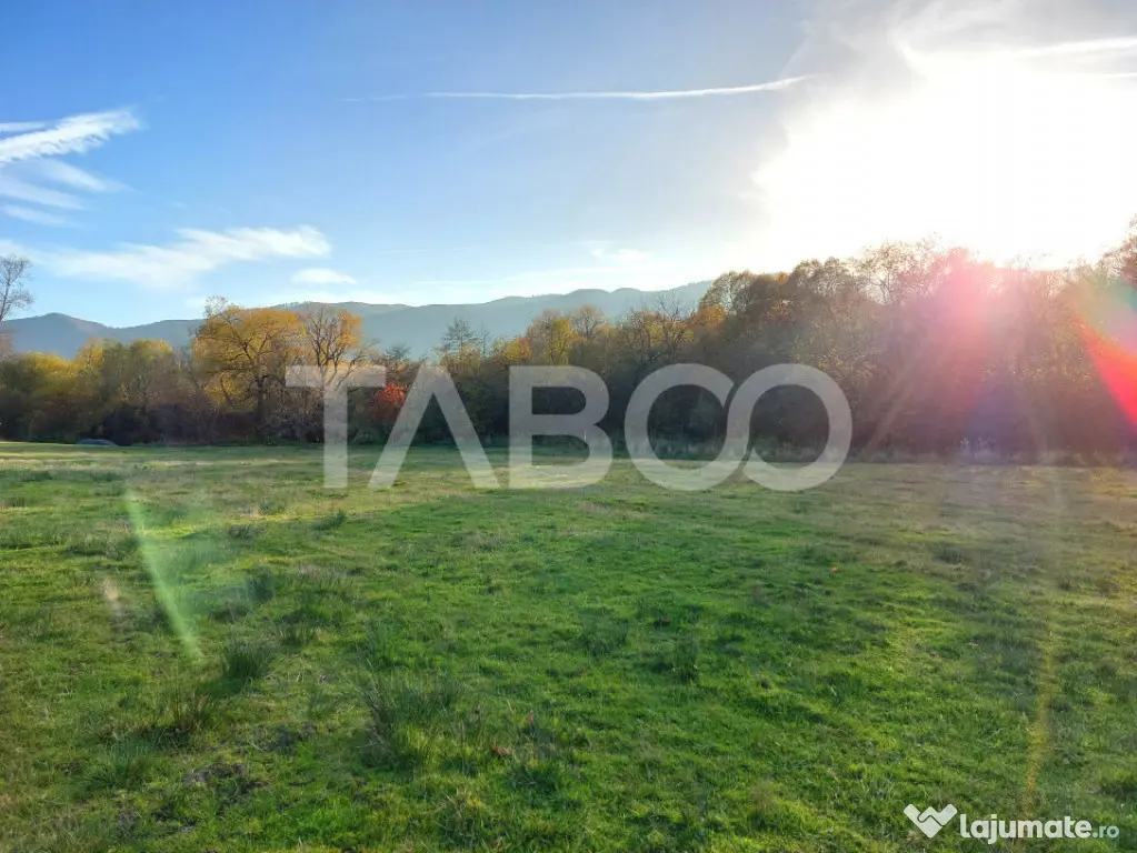 Teren de vanzare 17.000 mp in vecinatatea padurii Dumbrava - Sibiu (Sibiu)