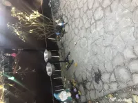 Castroane caine de talie medie-mare 