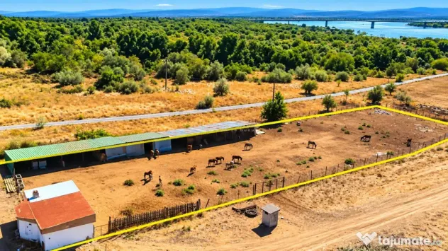 Moldova Noua | Teren 3.300 MP Afacere | ZERO COMISION - Moldova Noua (Caras-Severin)