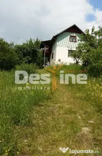 Drajna de Jos 5000 mp Teren +Casa demolabila !