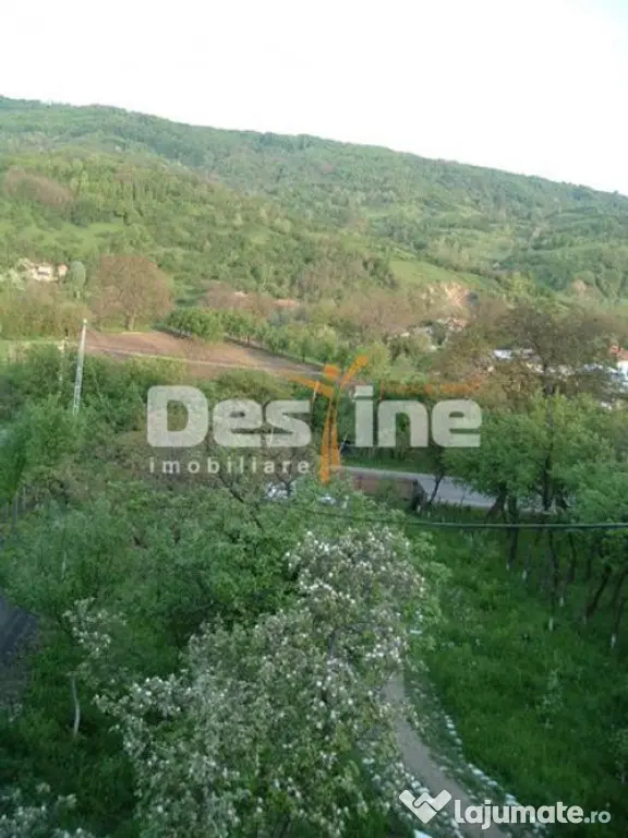 Drajna de Jos 5000 mp Teren +Casa demolabila ! - Drajna De Jos (Prahova)