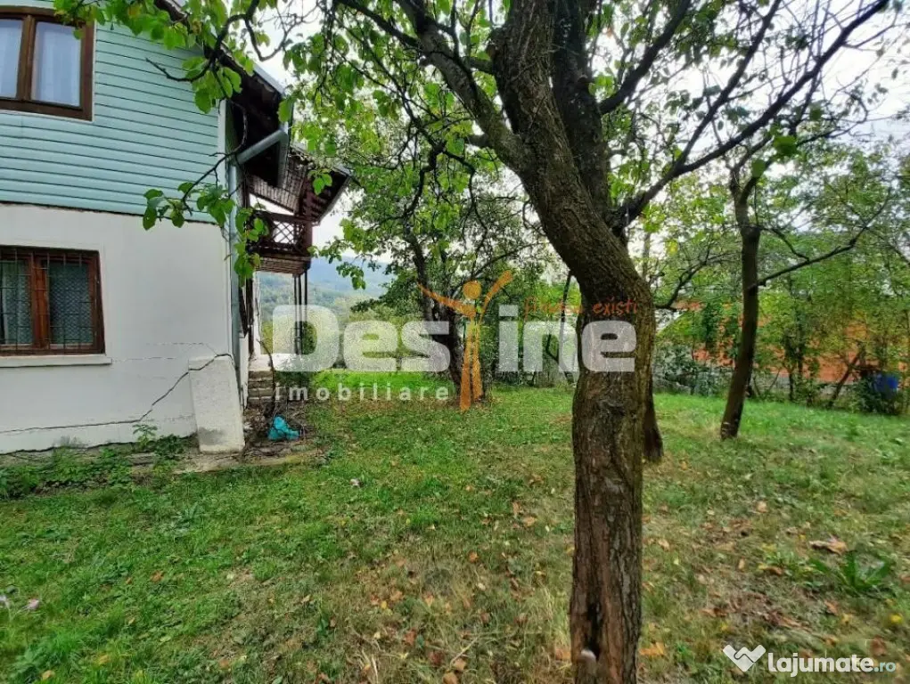 Drajna de Jos 5000 mp Teren +Casa demolabila ! - Drajna De Jos (Prahova)