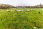 Teren Rasnov - Glajerie, 1225mp, teren drept, acces usor
