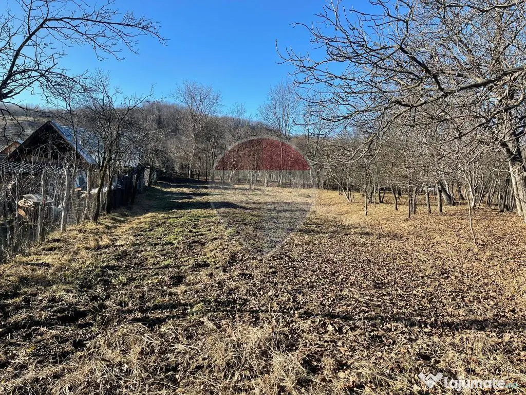 Teren intravilan 1,933mp Faget / Drajna de Sus - Faget (Prahova)