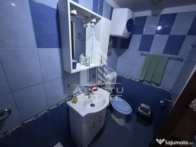 Spatiu comercial stradal, 110 mp, zona Elisabetin - Timisoara (Timis)