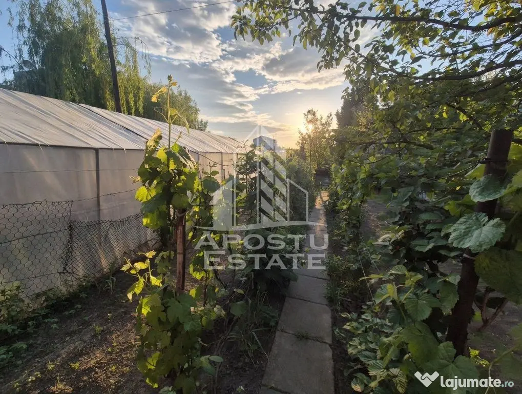 AP. 94MP 4CAM PARTER+GRADINĂ150MP GIARMATA-Timișoara - Giarmata (Timis)